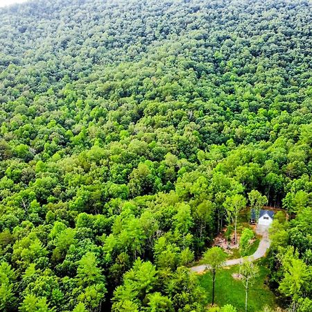 White Owl Cottage Blairsville Zewnętrze zdjęcie