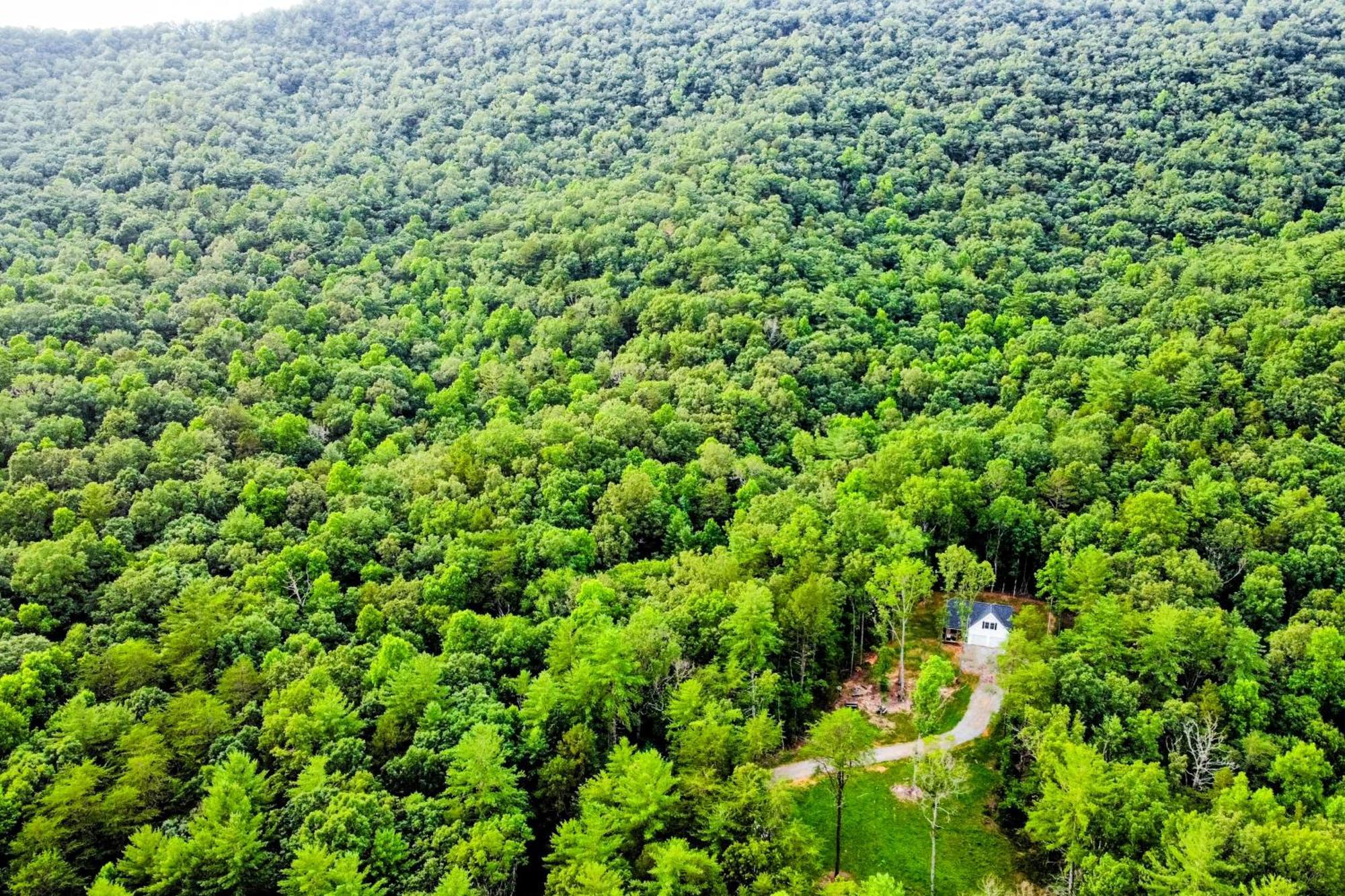 White Owl Cottage Blairsville Zewnętrze zdjęcie